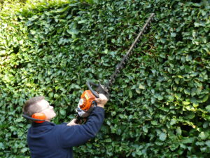 Hedge Cutter Service Trentham