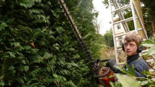 Hedge cutter repair in barlaston