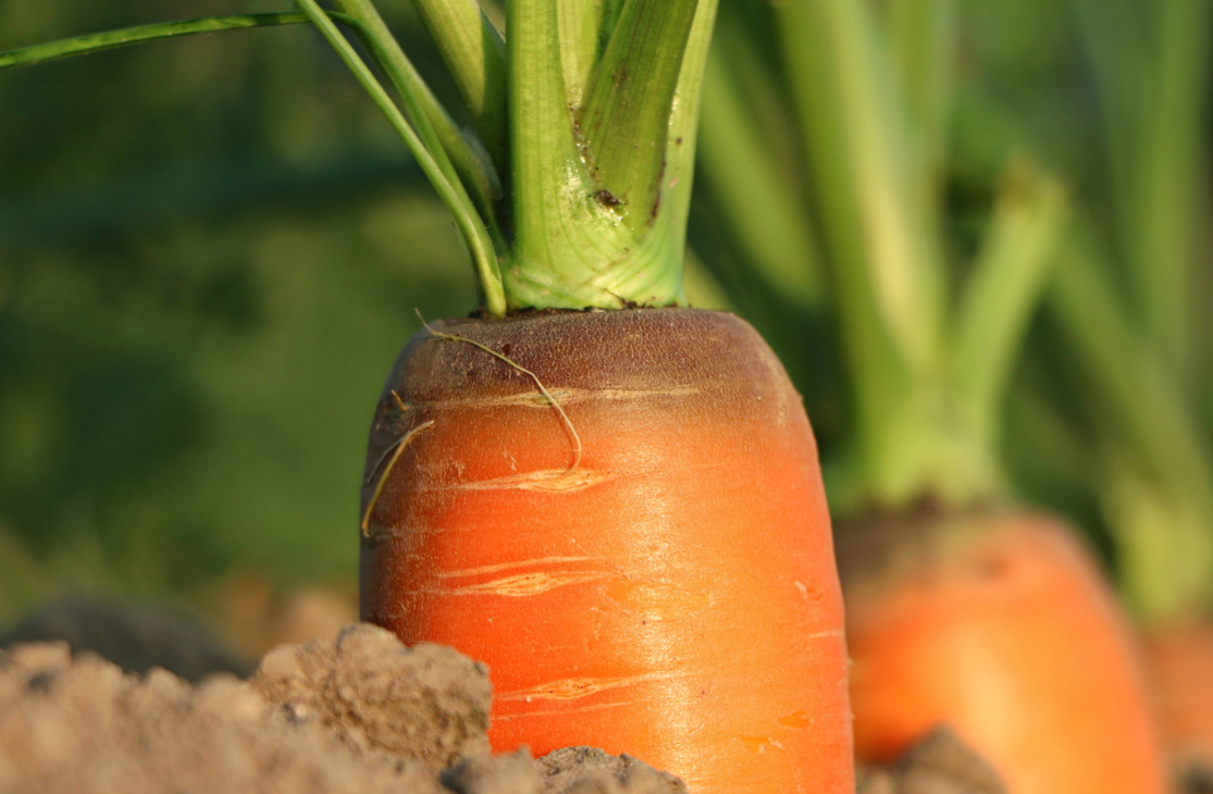 Untitled design (11)