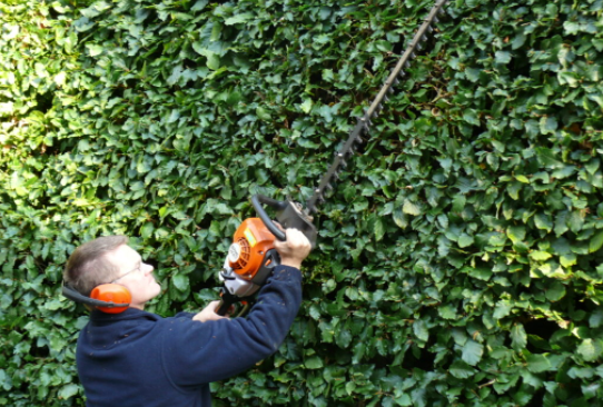 Hedge Cutter repair in trentham