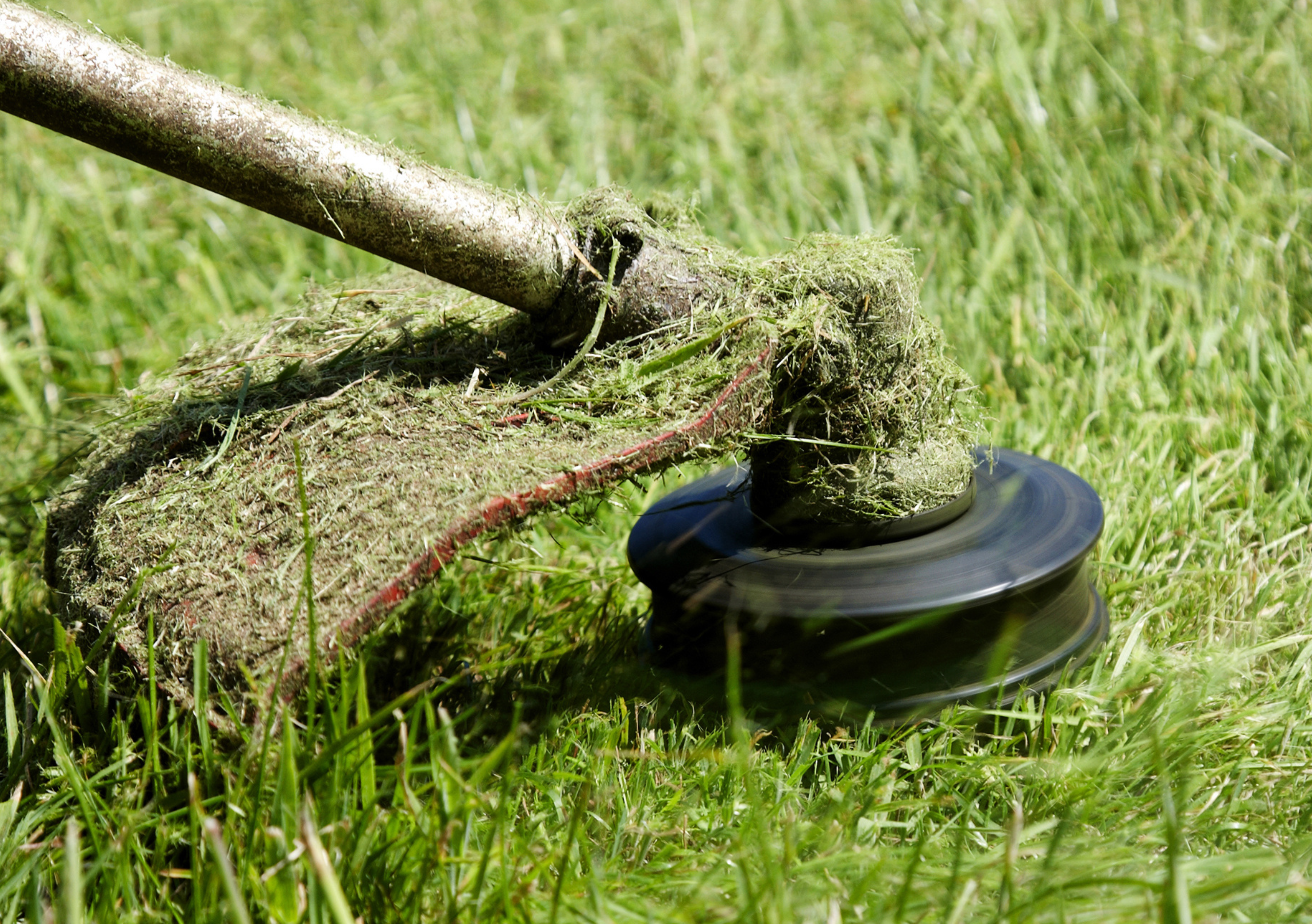 Untitled design (64)