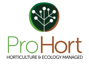 Untitled design (14)