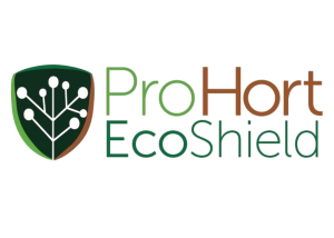 Untitled design (16)