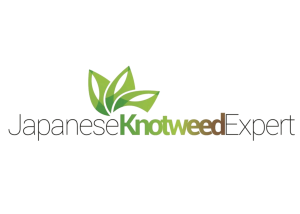 Untitled design (17)